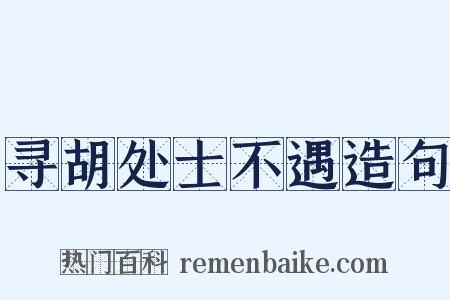寻胡处士不遇造句是什么意思的图片